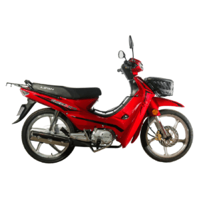 Lifan Cheetah 110