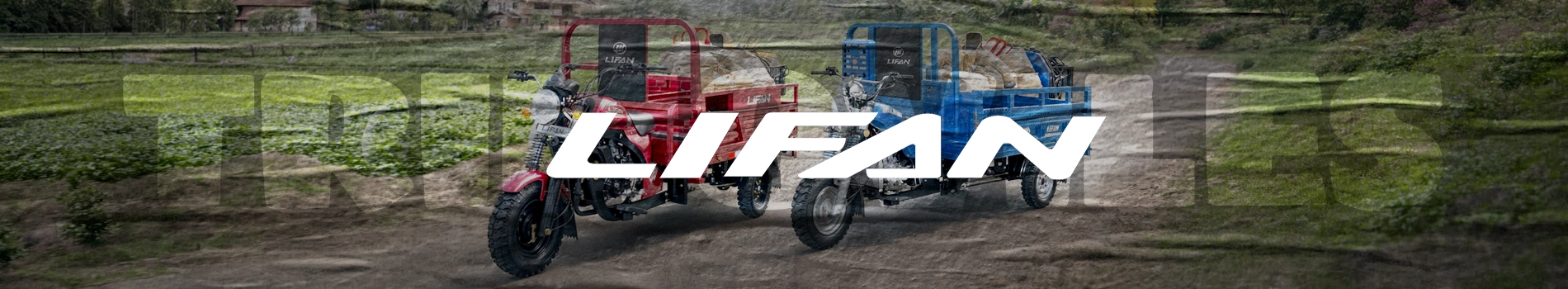 Lifan Trimoviles