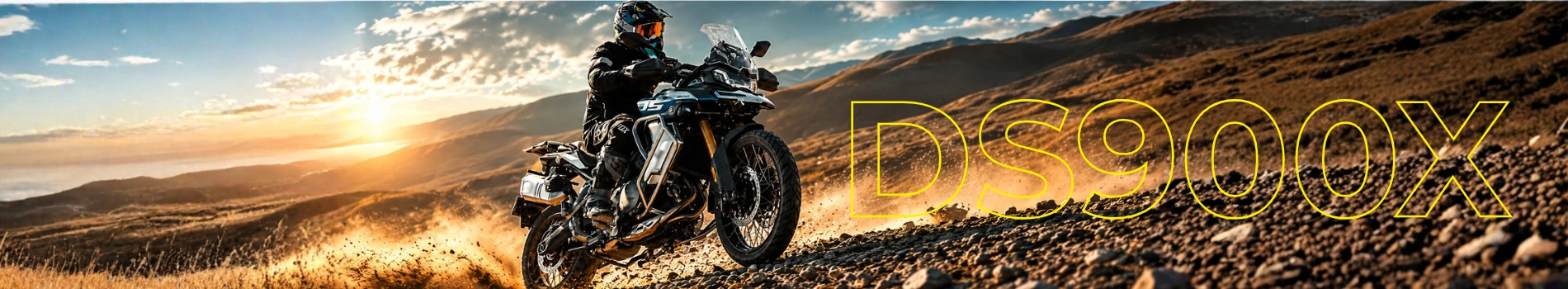 VOGE DS 900X